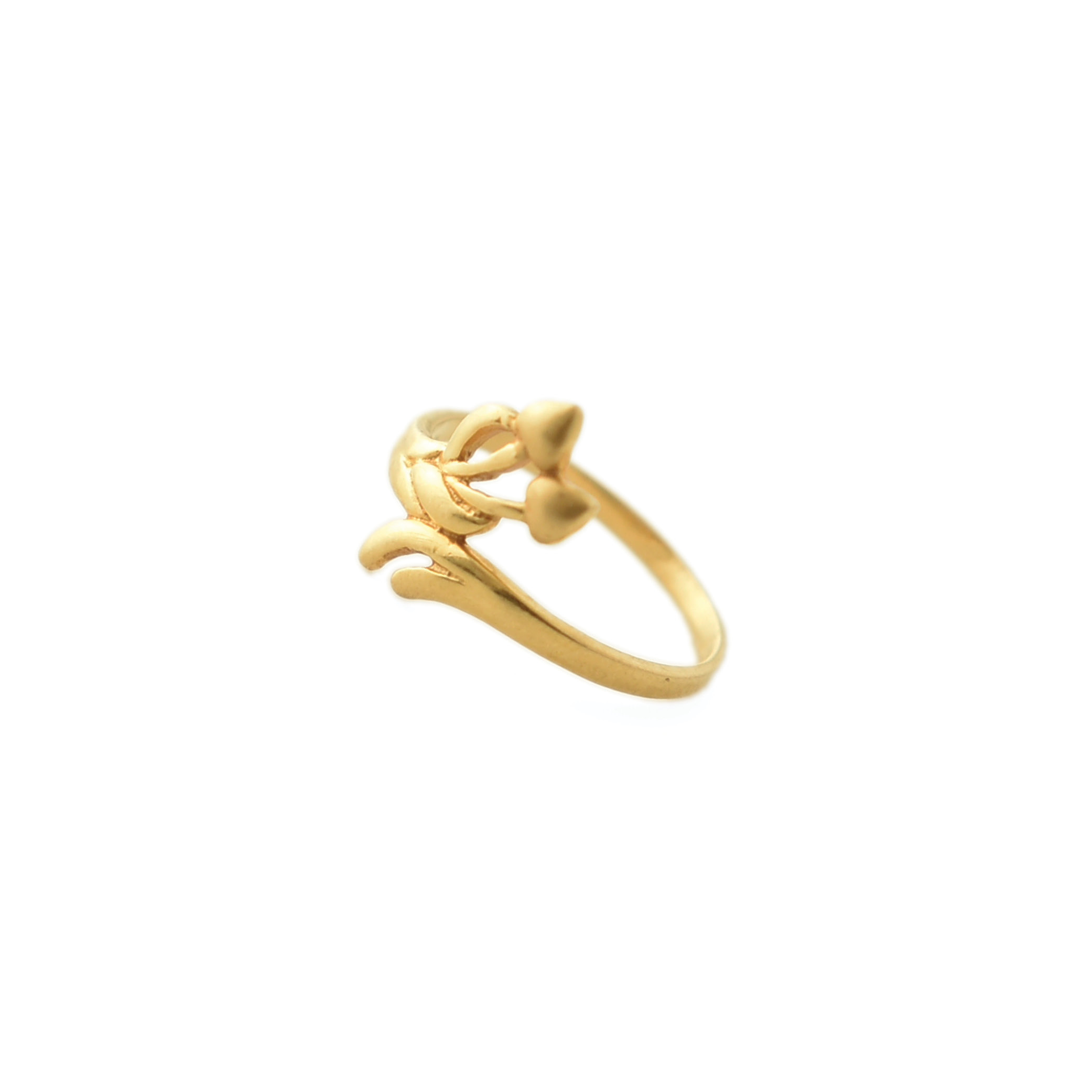 Gold ring store design plain